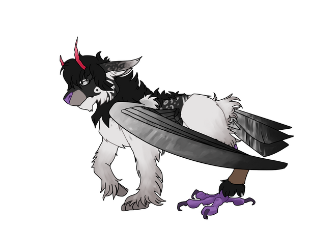 Feline OC - Ollie